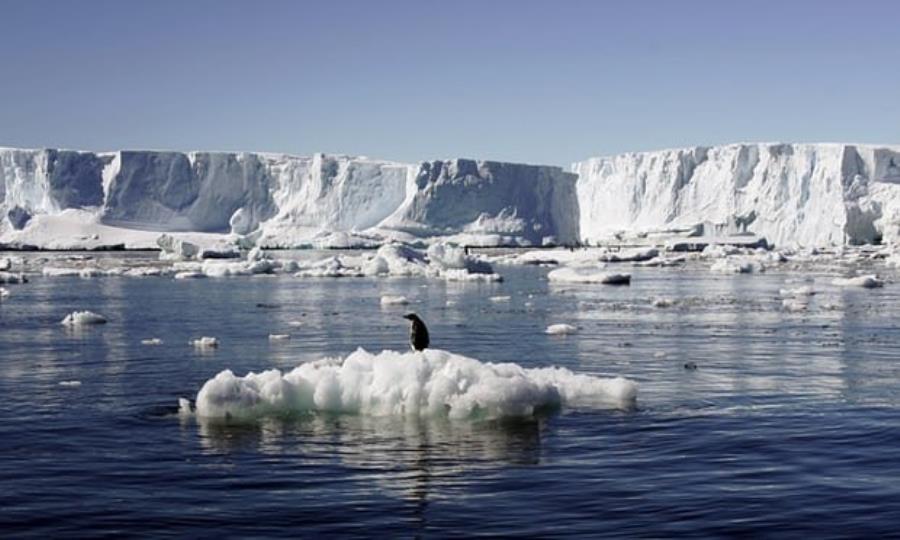 هشدار دبیرکل سازمان ملل درباره ذوب شدن یخ‌های قطب جنوب